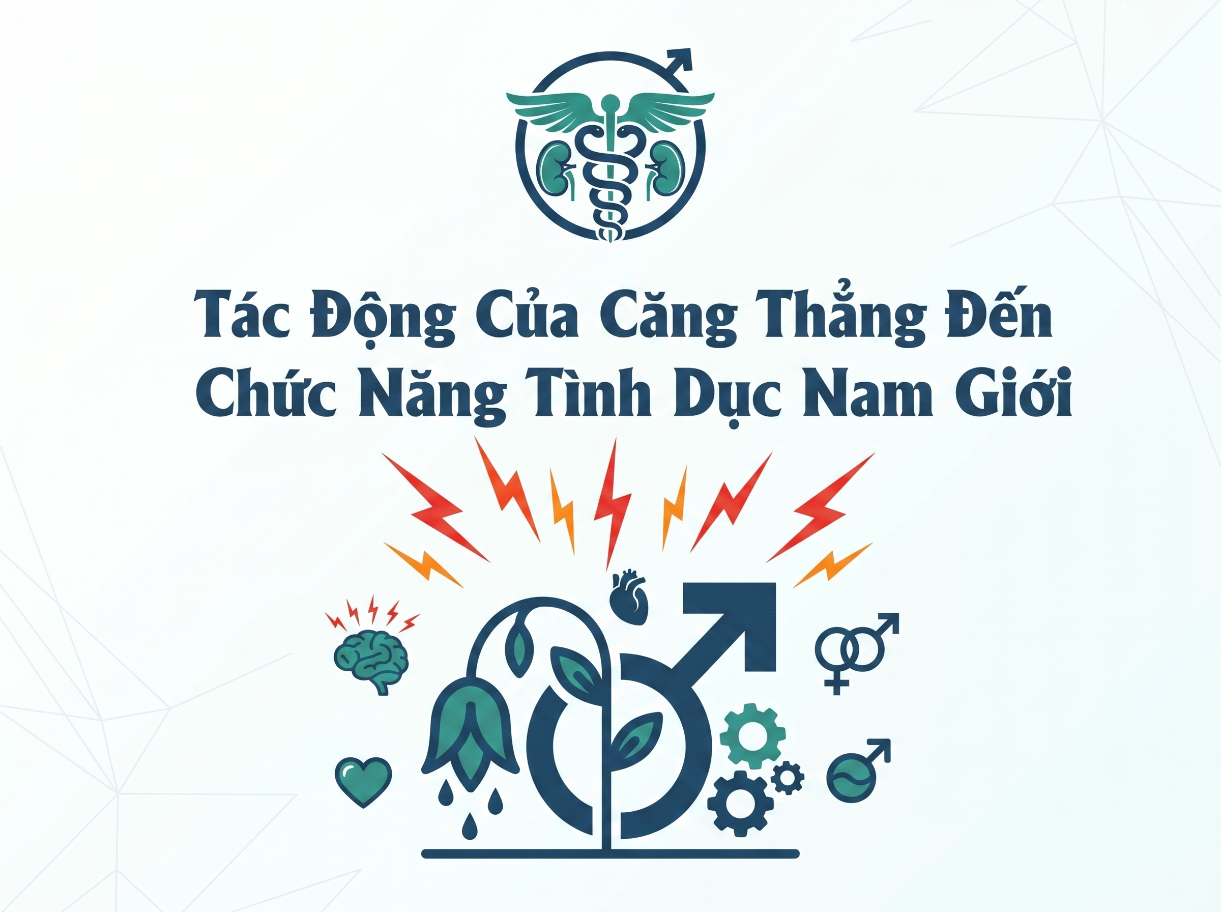 Tác Động Của Stress Đến Khả Năng Sinh Lý Nam Giới
